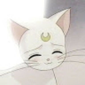 Meet your Posher, Kai